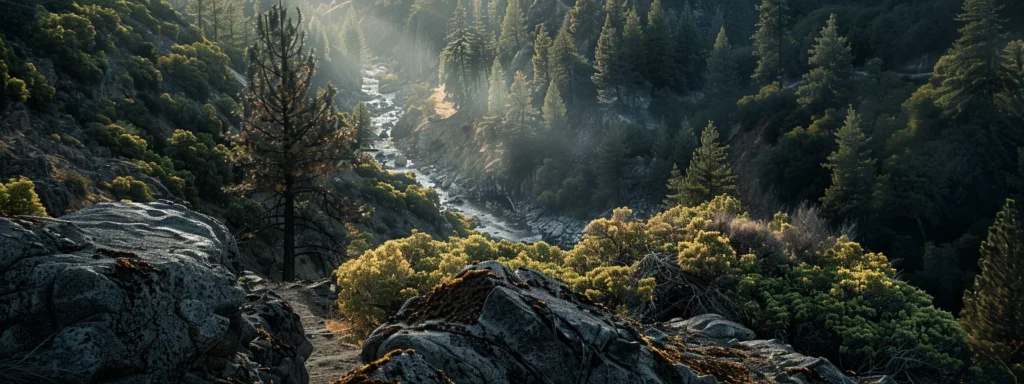 a breathtaking view of a scenic hiking trail winding through the rugged terrain of the american river canyon near auburn.